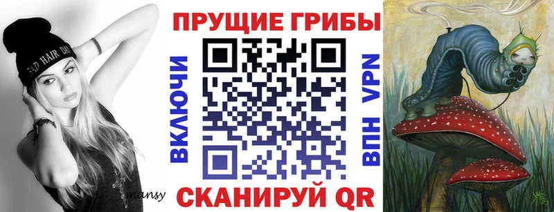 где купить наркоту  MEGA   Галлюциногенные грибы MAGIC MUSHROOMS  Галич 